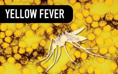 Yellow Fever Vaccine Fractional Dosing – A South African Experience